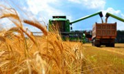 Перевезення зерна і зернових вантажів по Україні